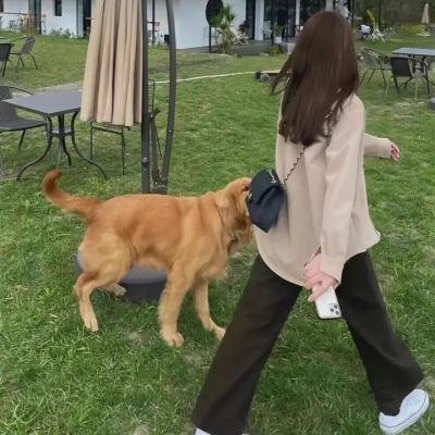 梦游交易所
